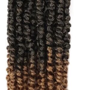 Passion twist hair, 8 packs w/tool and color hair clasps.